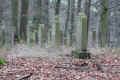 Harmuthsachsen Friedhof DSC05316.jpg (136220 Byte)