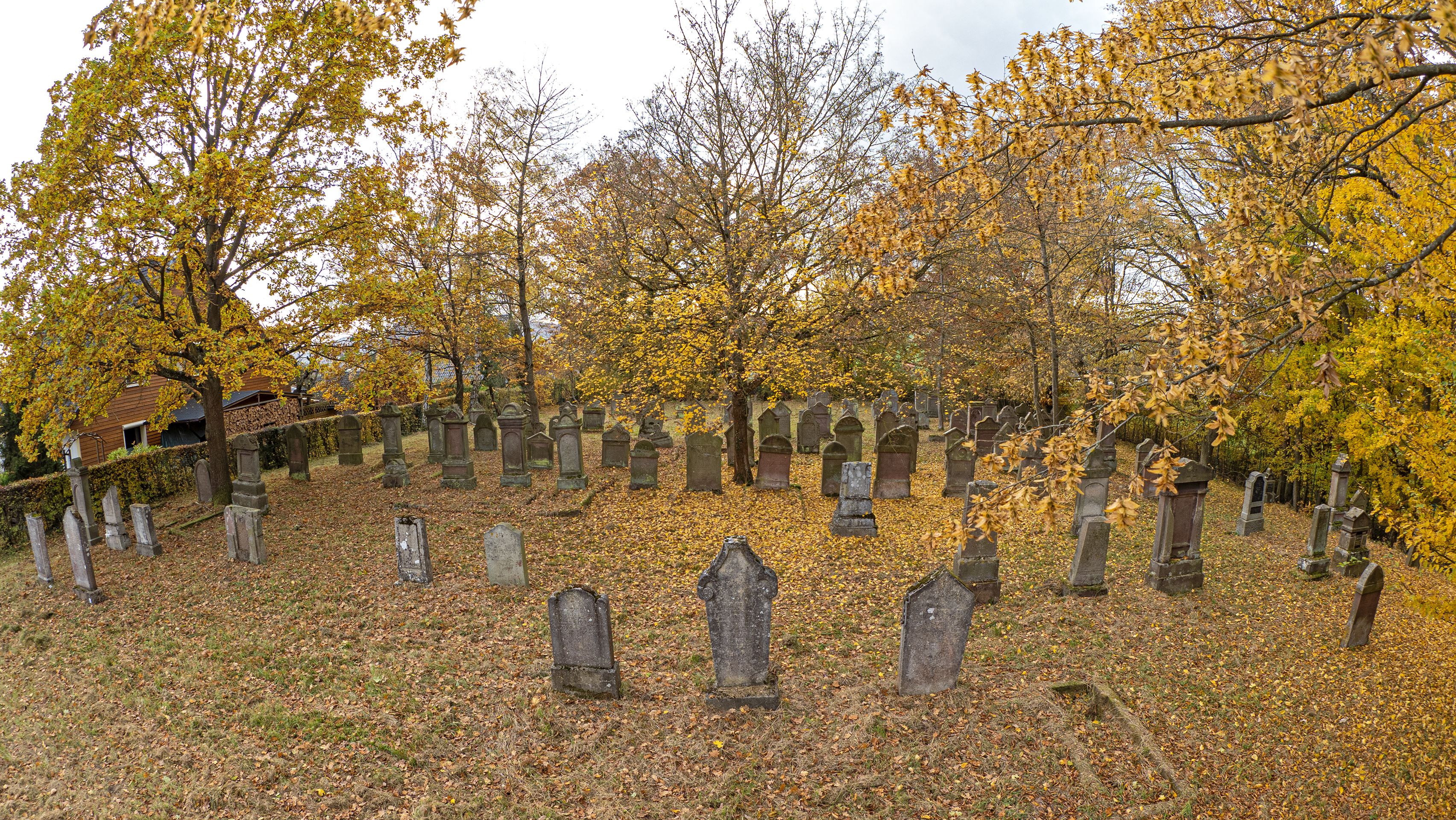 Der jüdische Friedhof in Niedenstein (Schwalm-Eder-Kreis)