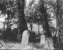 Binswangen Friedhof 012.jpg (84146 Byte)