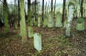 Marienthal Friedhof 051.jpg (67426 Byte)