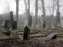Koethen Friedhof 011.jpg (67427 Byte)