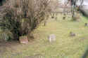Mainz Friedhof a200.jpg (80385 Byte)