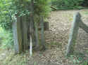 Fruecht Friedhof 100.jpg (116573 Byte)