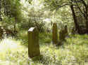 Einartshausen Friedhof 100.jpg (119370 Byte)