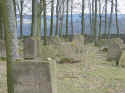 Creglingen Friedhof202.jpg (109753 Byte)