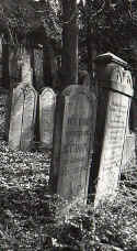 Heidelberg FriedhofK05.jpg (76447 Byte)